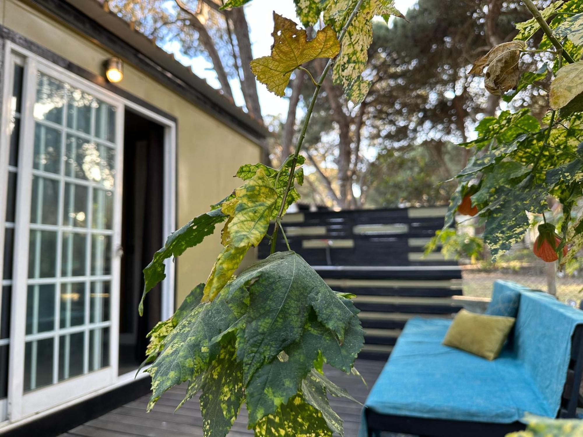 Eco-Friendly Beach House Sesimbra Kültér fotó