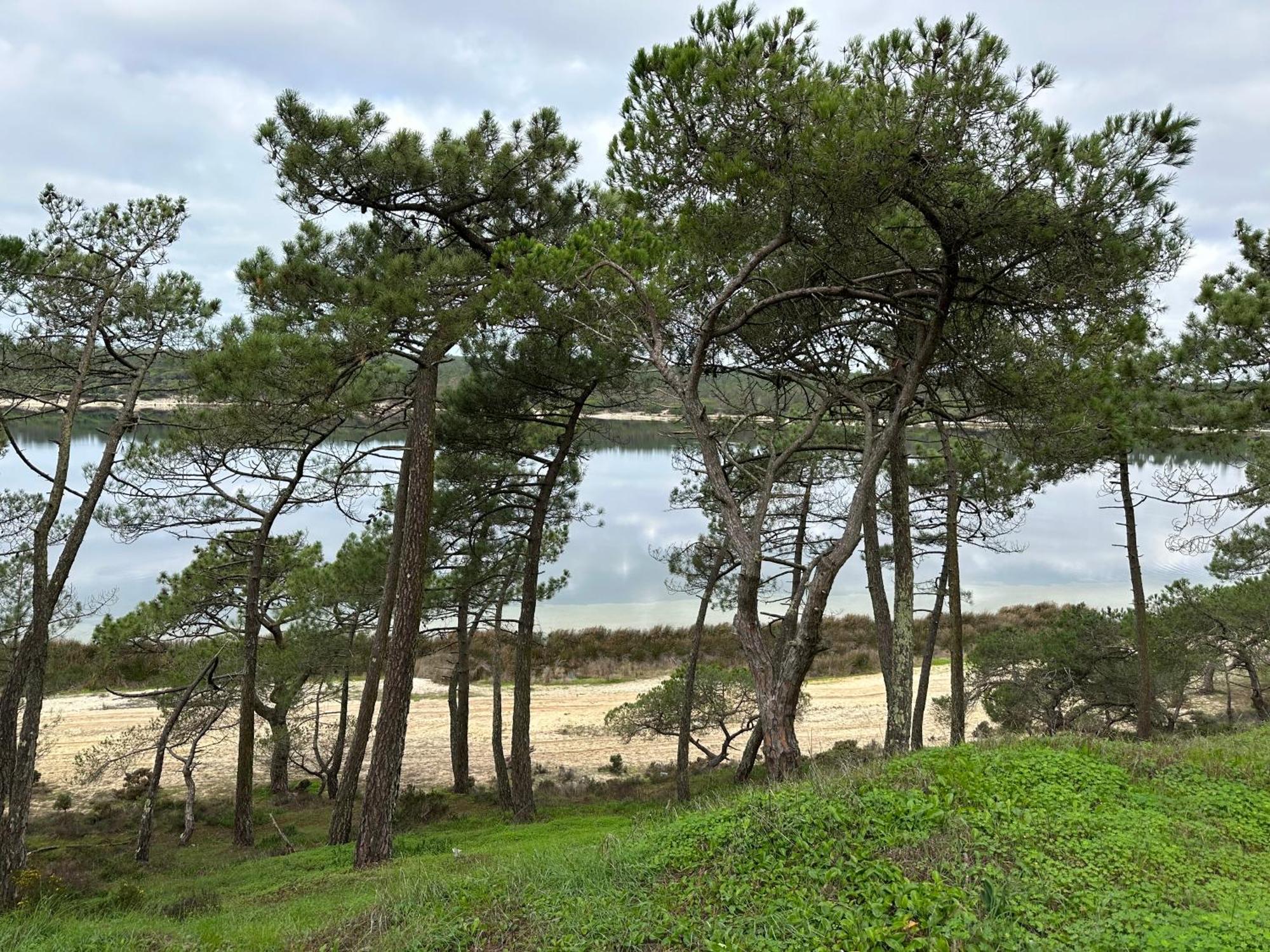 Eco-Friendly Beach House Sesimbra Kültér fotó